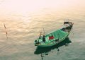 15 Symbolic Meanings of Dreaming About Fishing