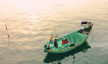 15 Symbolic Meanings of Dreaming About Fishing