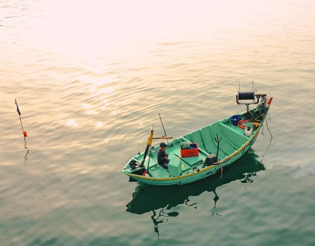 15 Symbolic Meanings of Dreaming About Fishing