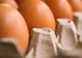 17 Symbolic Meanings of Dreaming about Eggs