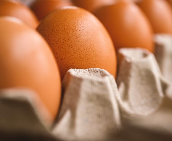 17 Symbolic Meanings of Dreaming about Eggs