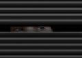 11 Symbolic Meanings of Dreams About Hiding