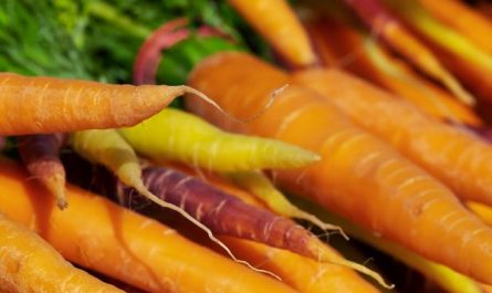 10 Symbolic Meanings of Dreaming about Carrots