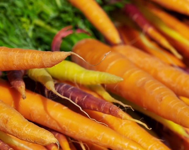 10 Symbolic Meanings of Dreaming about Carrots