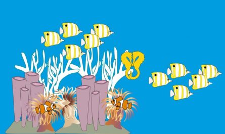 7 Symbolic Meanings of Dreaming About Killing Fish