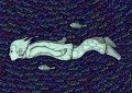 12 Symbolic Meanings of Dreams about Change