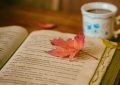 11 Symbolic Meanings of Dreams about Reading