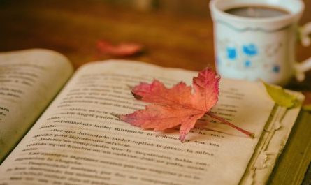 11 Symbolic Meanings of Dreams about Reading