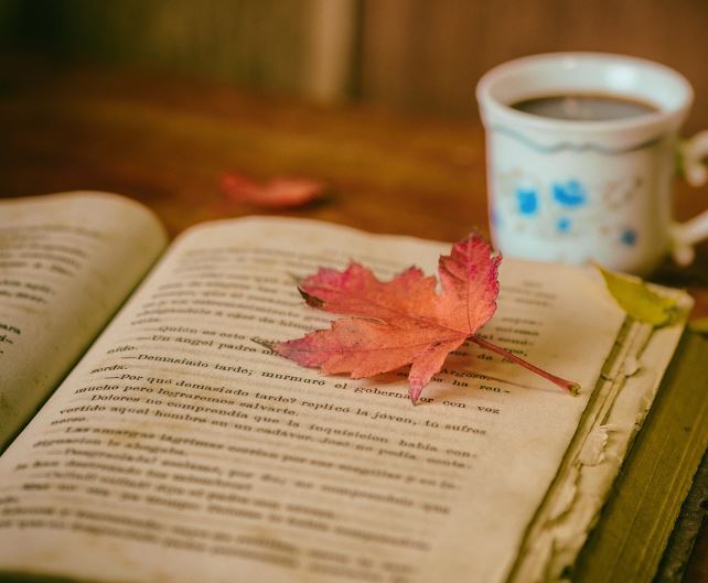 11 Symbolic Meanings of Dreams about Reading