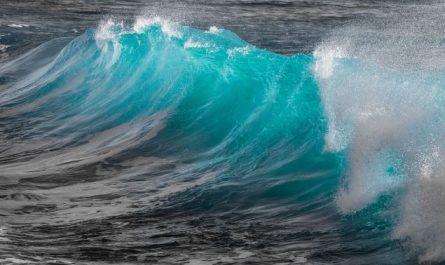 11 Symbolic Meanings of Dreams about Attacks
