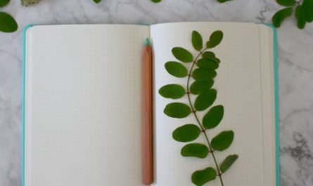 8 Symbolic Meanings of Dreaming About Notebooks