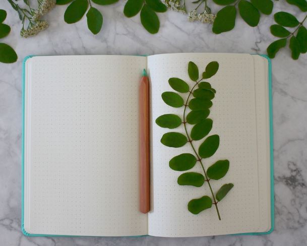 8 Symbolic Meanings of Dreaming About Notebooks