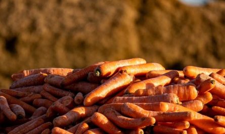 8 Symbolic Meanings of Dreams about Feeding Others