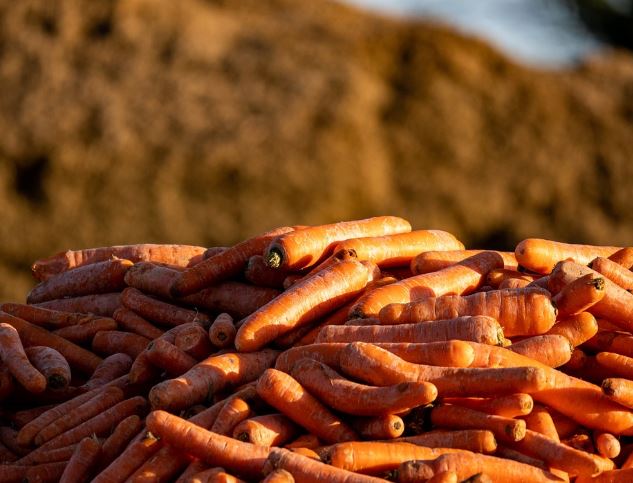8 Symbolic Meanings of Dreams about Feeding Others