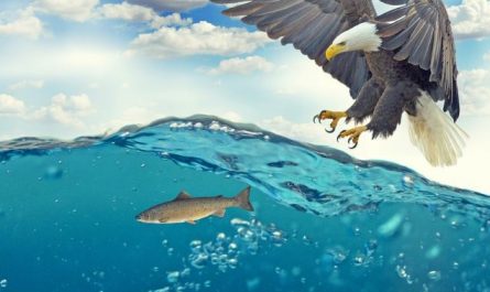 15 Symbolic Meanings of Dreams About Being Attacked