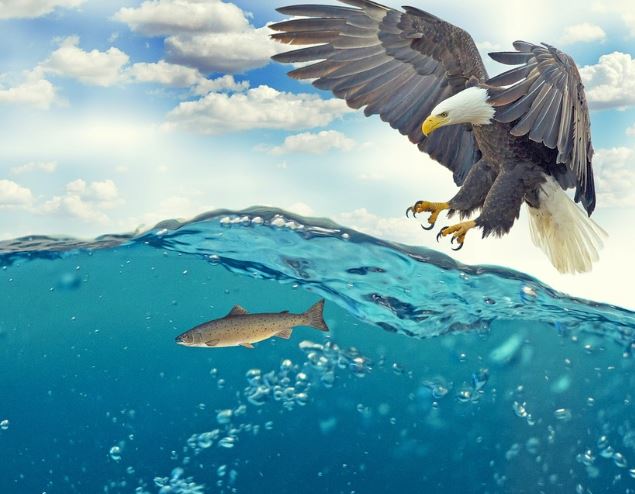 15 Symbolic Meanings of Dreams About Being Attacked