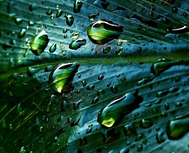 7 Symbolic Meanings of Dreams about Rain