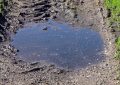 7 Symbolic Meanings of Dreaming of Puddles