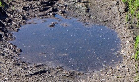 7 Symbolic Meanings of Dreaming of Puddles