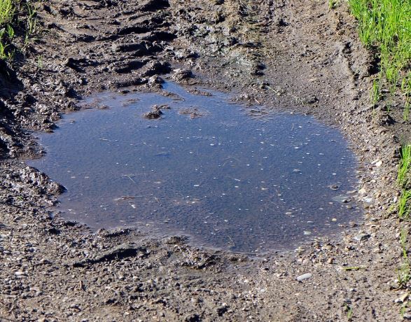 7 Symbolic Meanings of Dreaming of Puddles