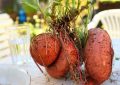 14 Symbolic Meanings of Dreaming About Digging Sweet Potatoes