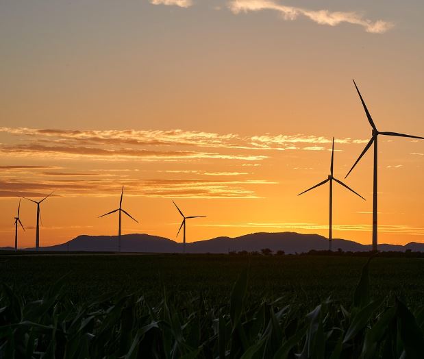 12 Symbolic Meanings of Dreaming of Wind