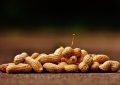 14 Symbolic Meanings of Dreaming about Peanuts
