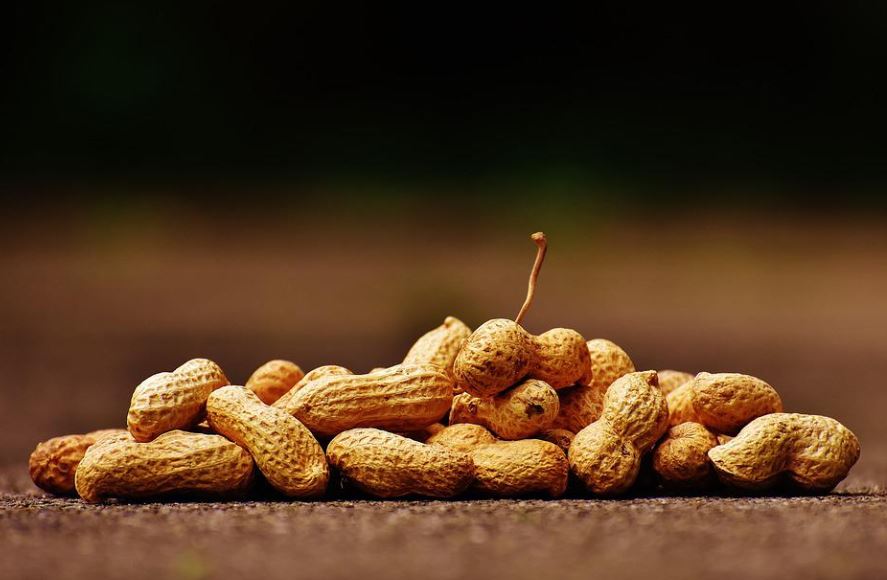 14 Symbolic Meanings of Dreaming about Peanuts