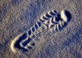 8 Symbolic Meanings of Dreams about Traces