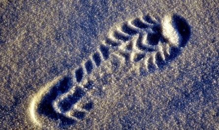 8 Symbolic Meanings of Dreams about Traces