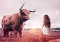 26 Symbolic Meanings of Dreaming of Bulls