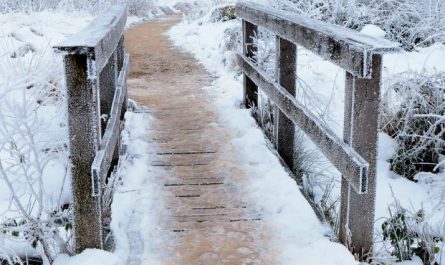 10 symbolic meanings of Dreaming of accumulation