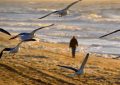 12 Symbolic Meanings of Dreaming About Walking