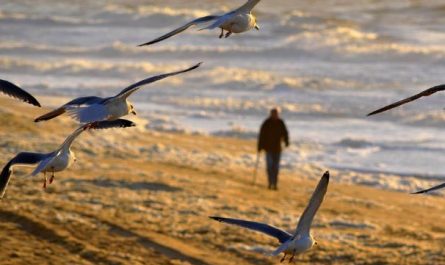 12 Symbolic Meanings of Dreaming About Walking