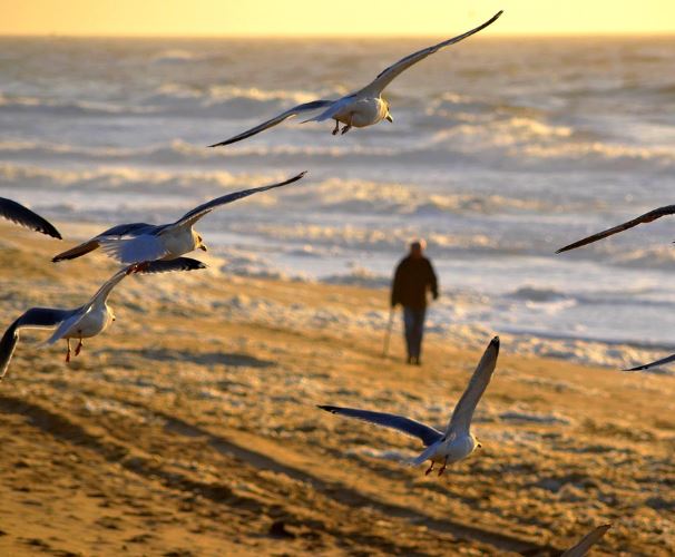 12 Symbolic Meanings of Dreaming About Walking