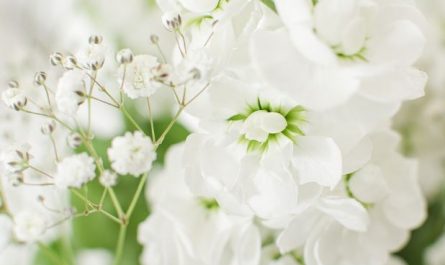 14 Symbolic Meanings of Dreaming About White