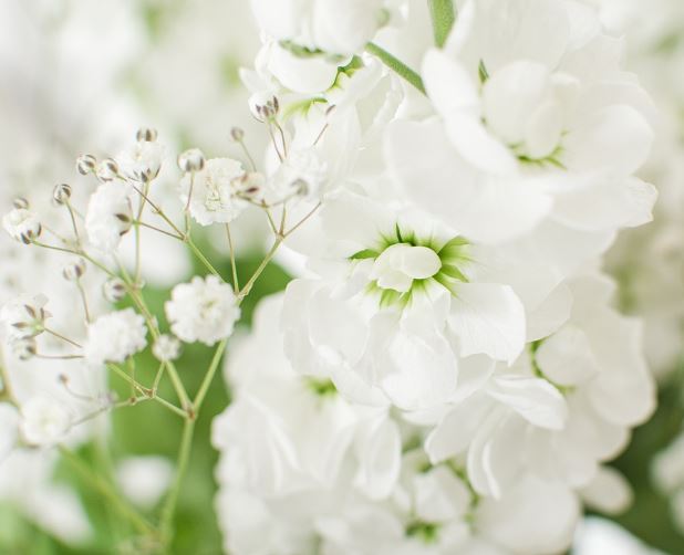 14 Symbolic Meanings of Dreaming About White