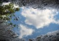 7 Symbolic Meanings of Dreaming About Stagnant Things