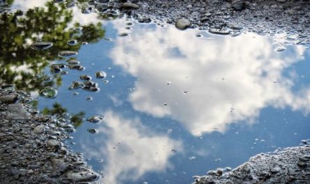 7 Symbolic Meanings of Dreaming About Stagnant Things