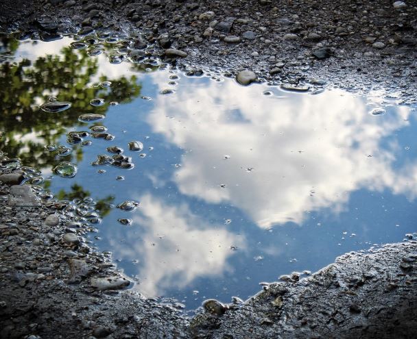7 Symbolic Meanings of Dreaming About Stagnant Things
